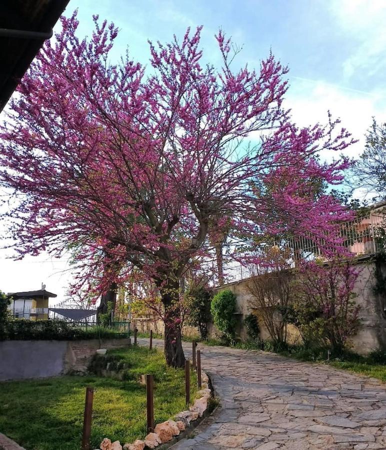 La Casa Di Giuda Apartment Vigliano d'Asti